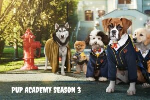 pup academy season 3