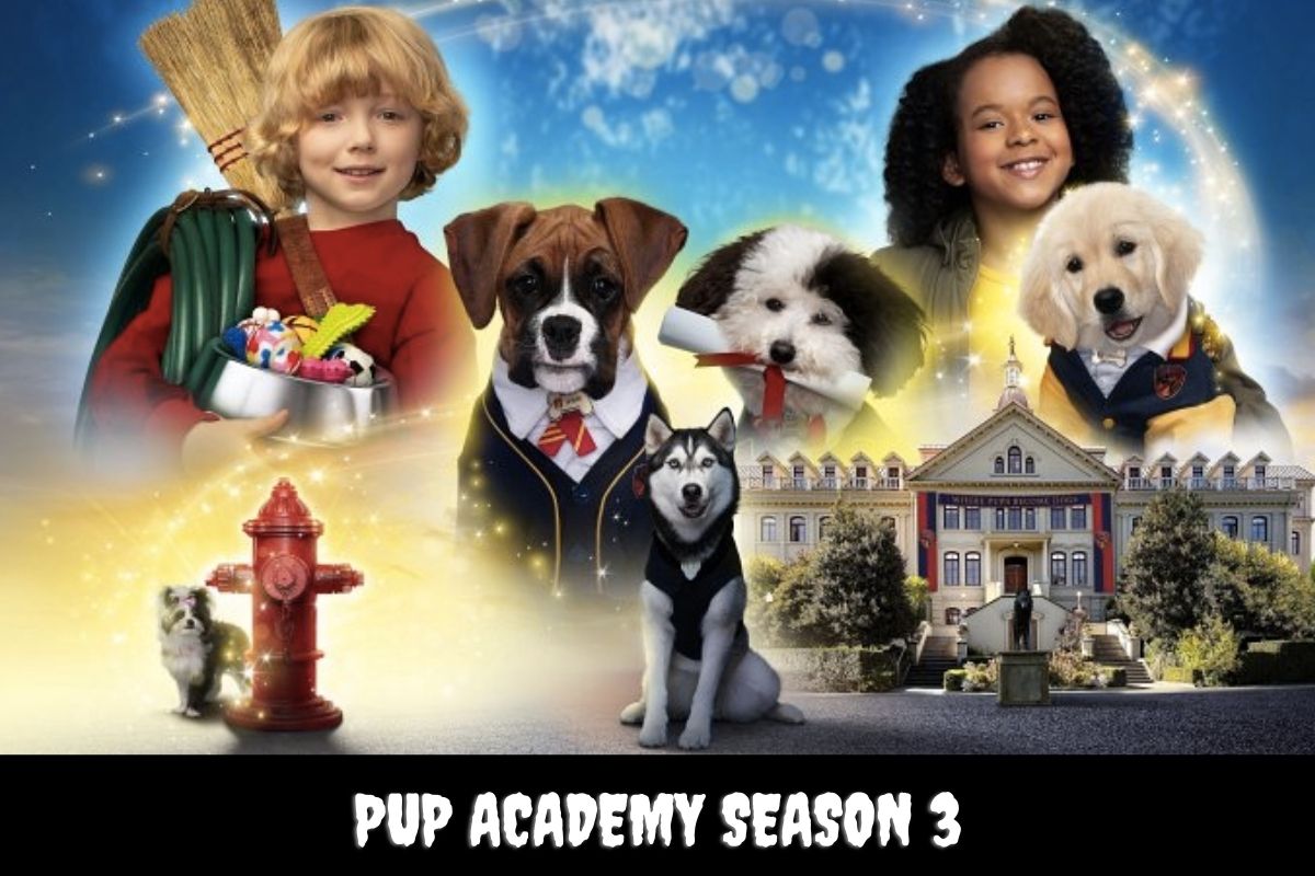 pup academy season 3